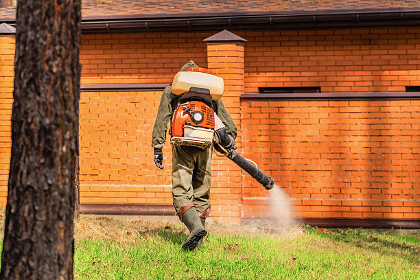 Trusted Ant Control service in Oquawka, IL - Nex Pest Control